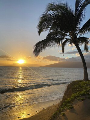 On the beach, sun loungers, beach towels - 2BR/1BA BEACHFRONT • GREAT LOCATION • EXCEPTIONAL REVIEWS (Kihei)