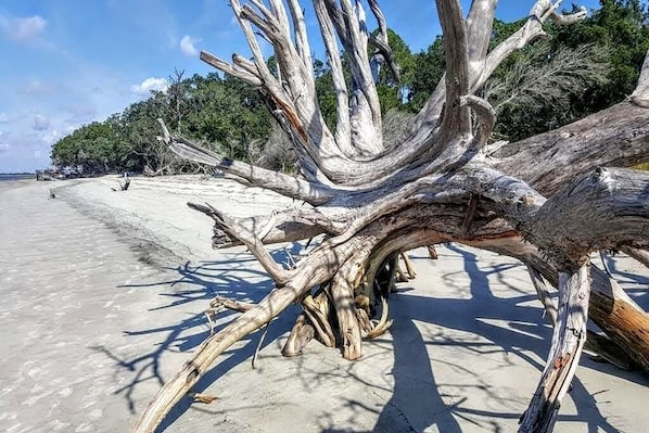 Beach - CoastalCreekfrontStudio! Pets ok, near everything you want to do in Coastal Ga! (Brunswick)