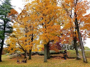 A park with autumn trees, a hammock, and a wooden bench.
