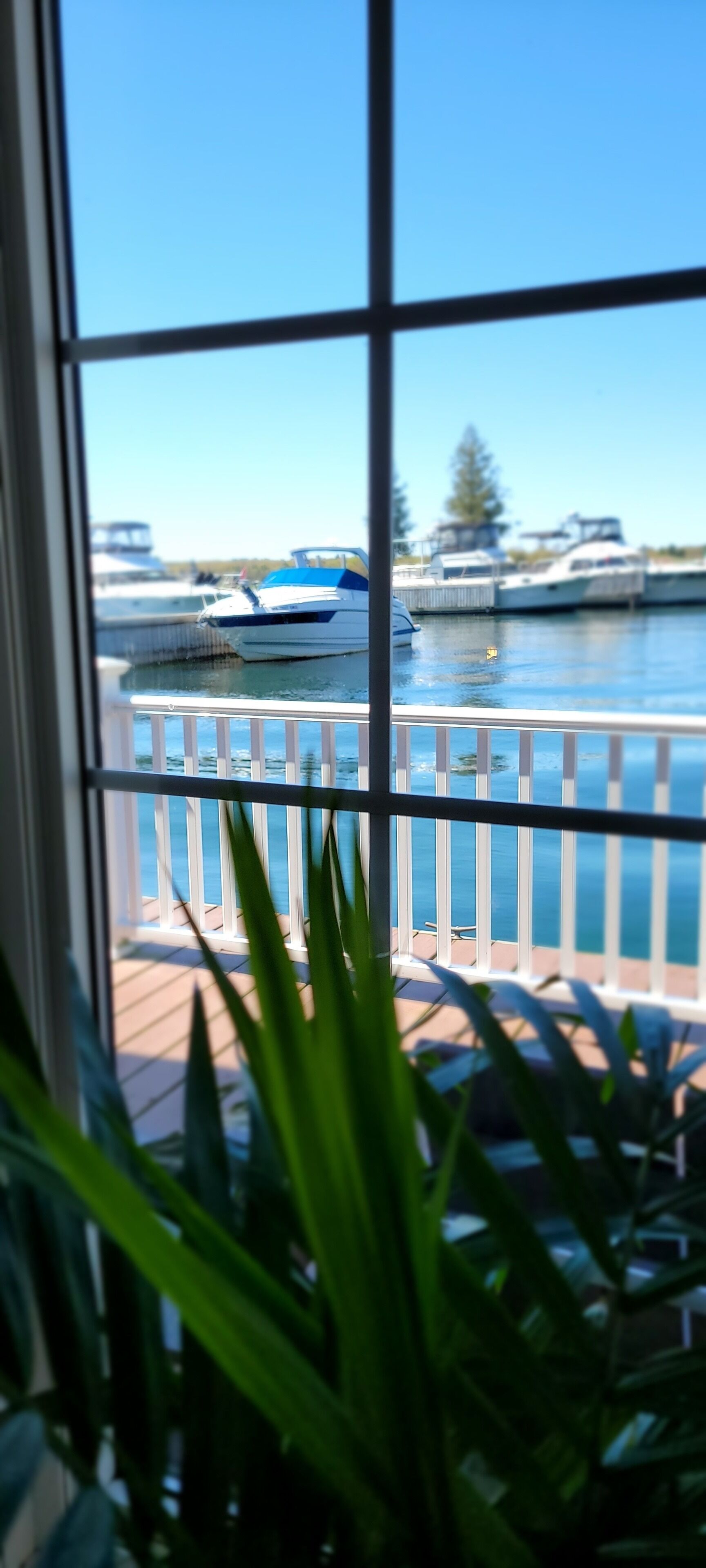 A view through a window with a balcony railing, overlooking a marina with boats and a clear blue sky.