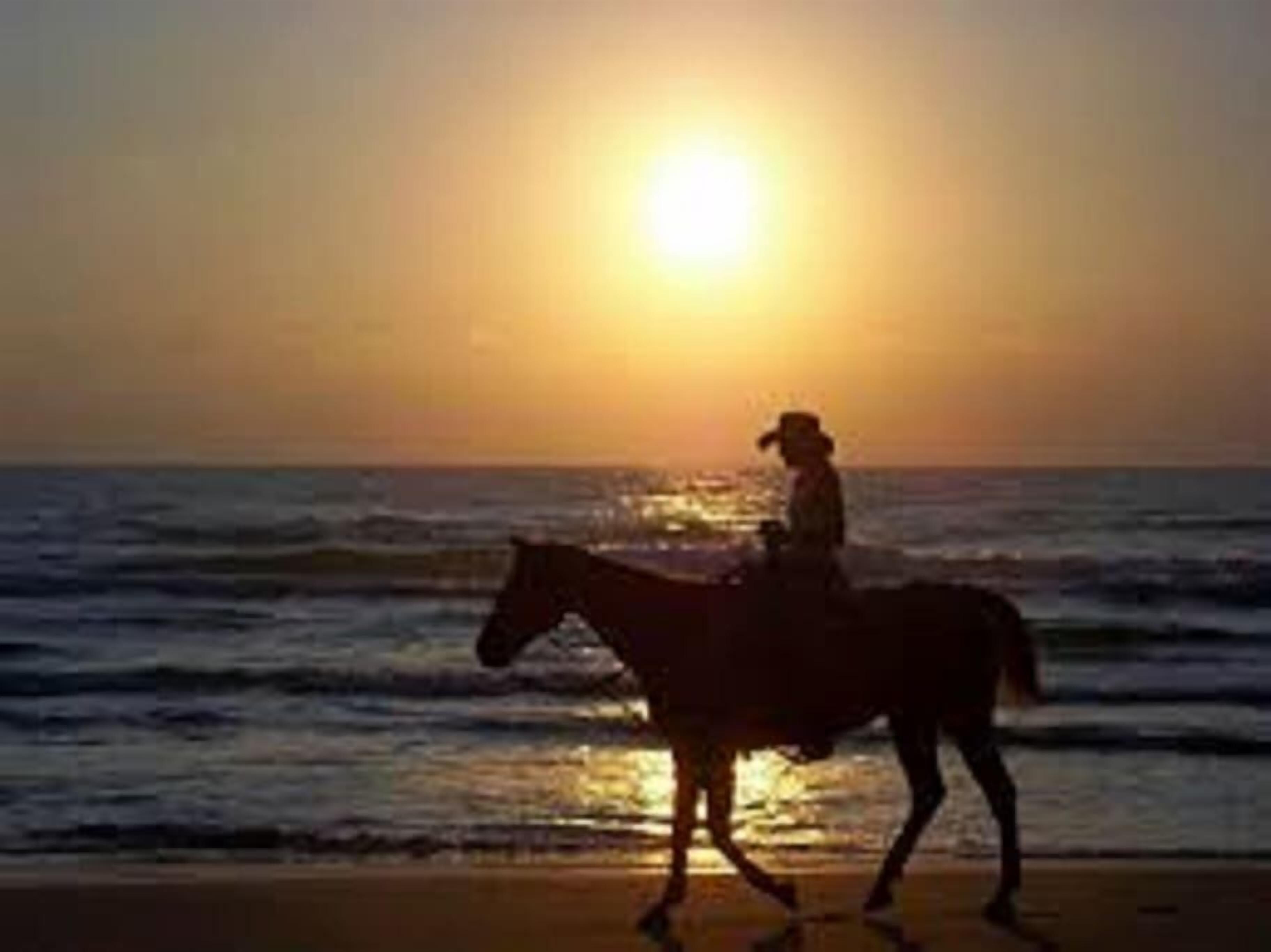 A silhouette of a person riding a horse on a beach at sunset.