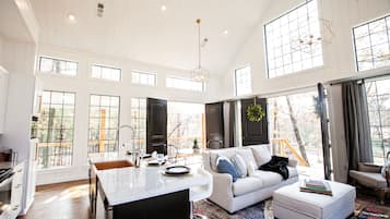 Smart TV, fireplace, DVD player, books