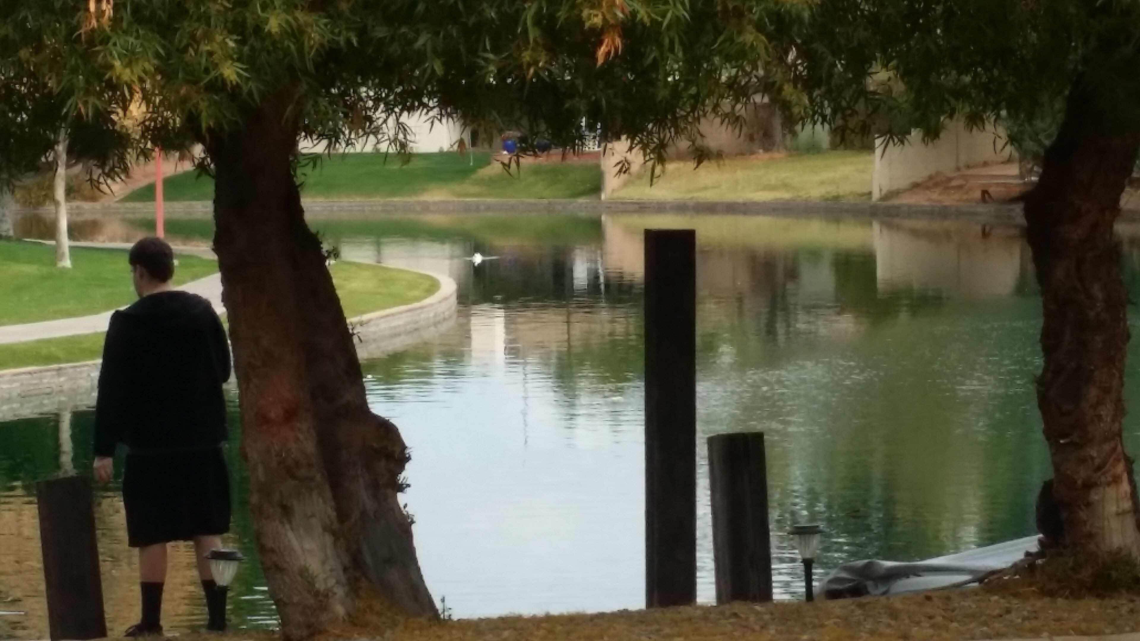 A park with a pond, trees, and a person standing by the water.