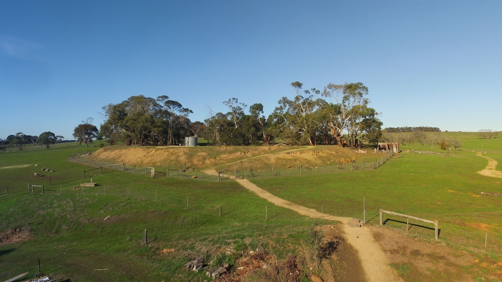 Tarndwarncoort (Tarndie) by null