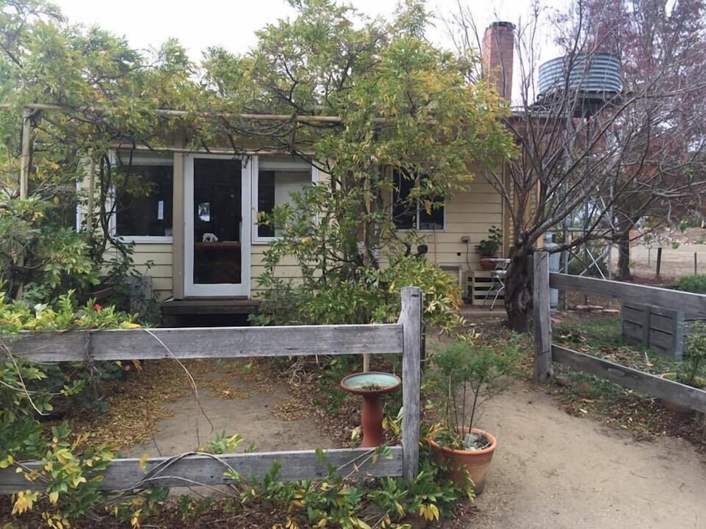 Tarndwarncoort (Tarndie) by null