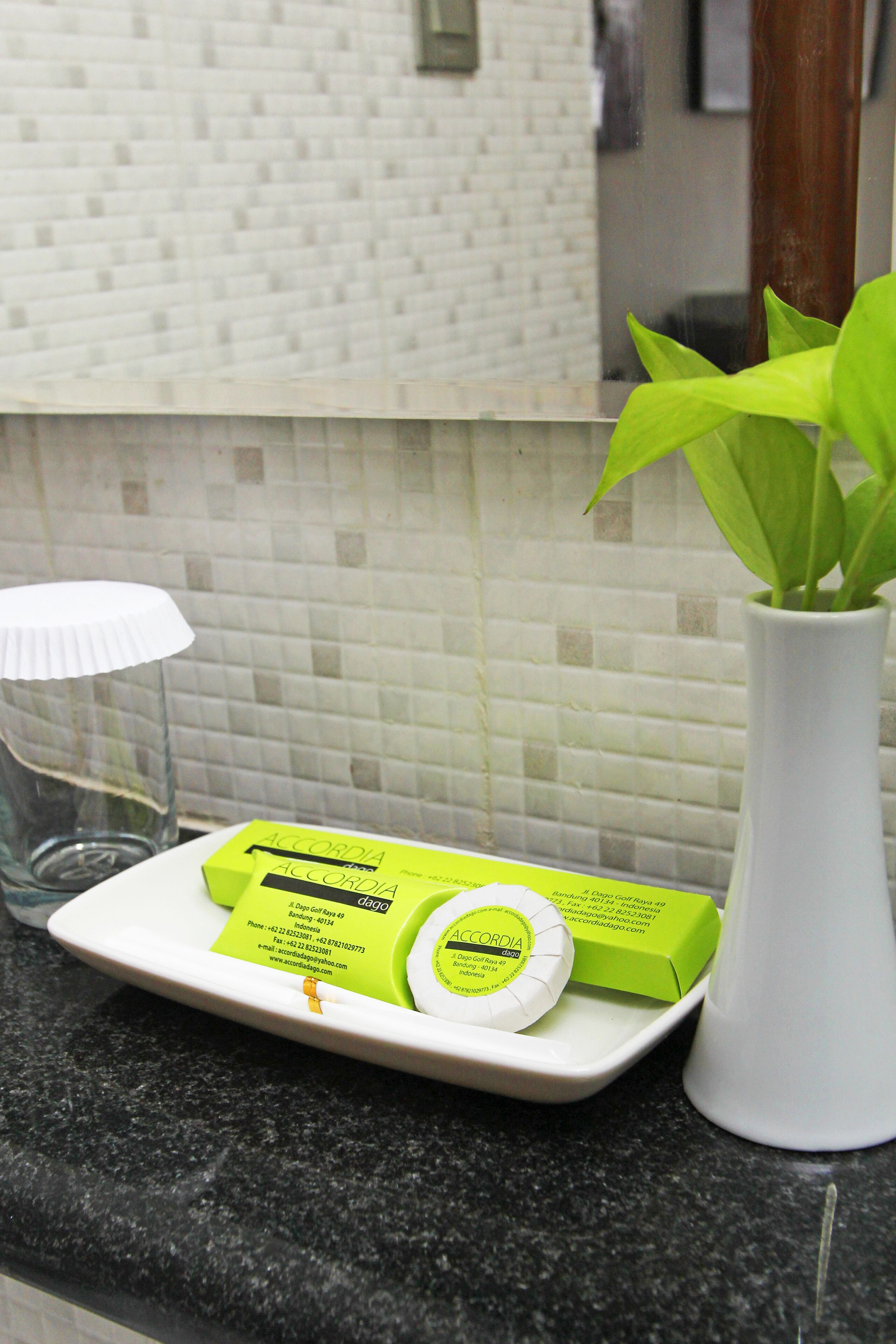 A kitchen counter with a white vase containing a green plant, a white plate with a green box labeled "Accordia," and a clear glass.