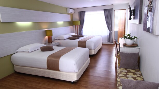 Habitación de hotel con dos camas, un sofá, una mesita con una planta y un televisor montado en la pared.