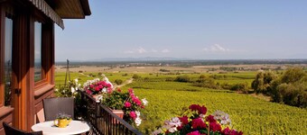 Hôtel Restaurant Au Riesling