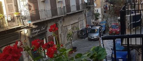 Vista desde la propiedad