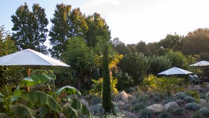 Un jardín con diversas plantas, rocas y sombrillas blancas.