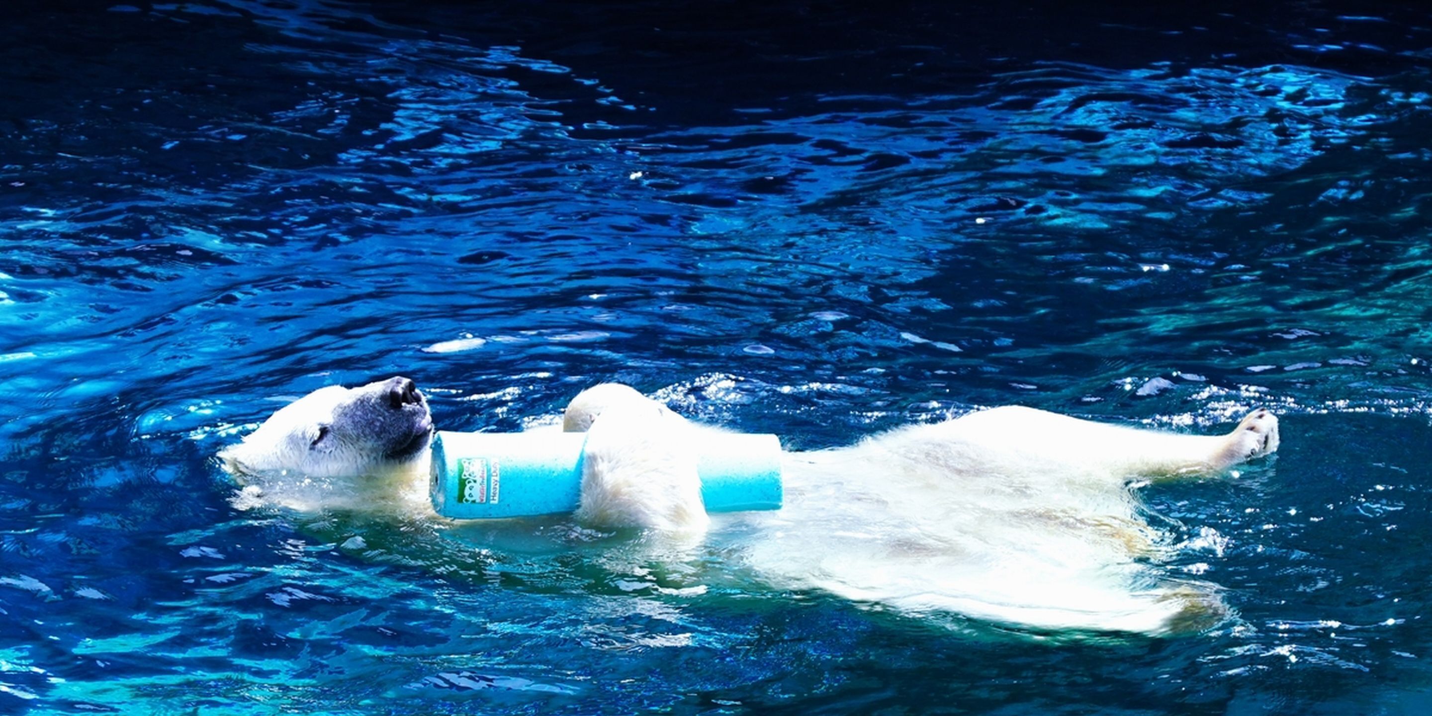 land view from property