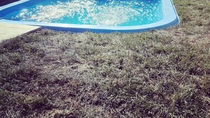 A swimming pool with a stone wall and a grassy area around it. - Botanika Hotel Sapanca (Sapanca)