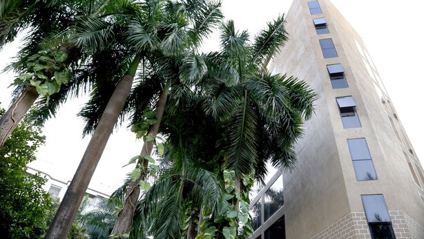 Un edificio alto de diseño moderno, rodeado de exuberantes palmeras.