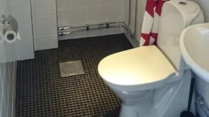 Une salle de bain avec douche, toilettes et lavabo.