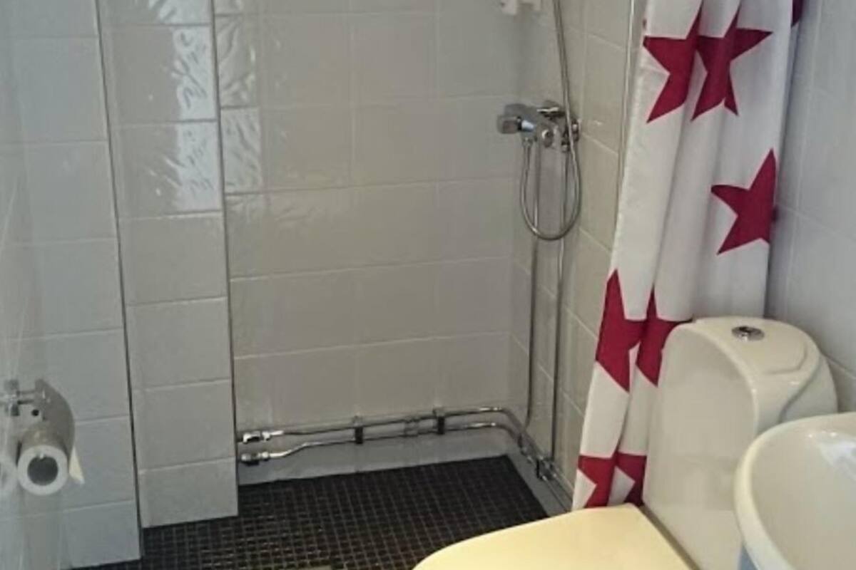 double room, private bathroom (2 beds, pet friendly) | bathroom | shower, free toiletries, hair dryer, towels