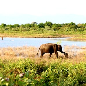 Vistas desde el alojamiento