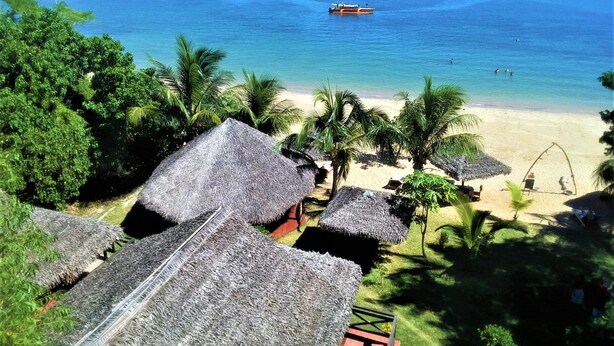 Een strand met rieten hutten, palmbomen en een boot op het water.
