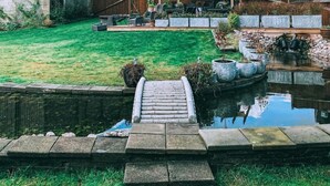 A backyard with a wooden pergola, a small pond, and a grassy lawn.