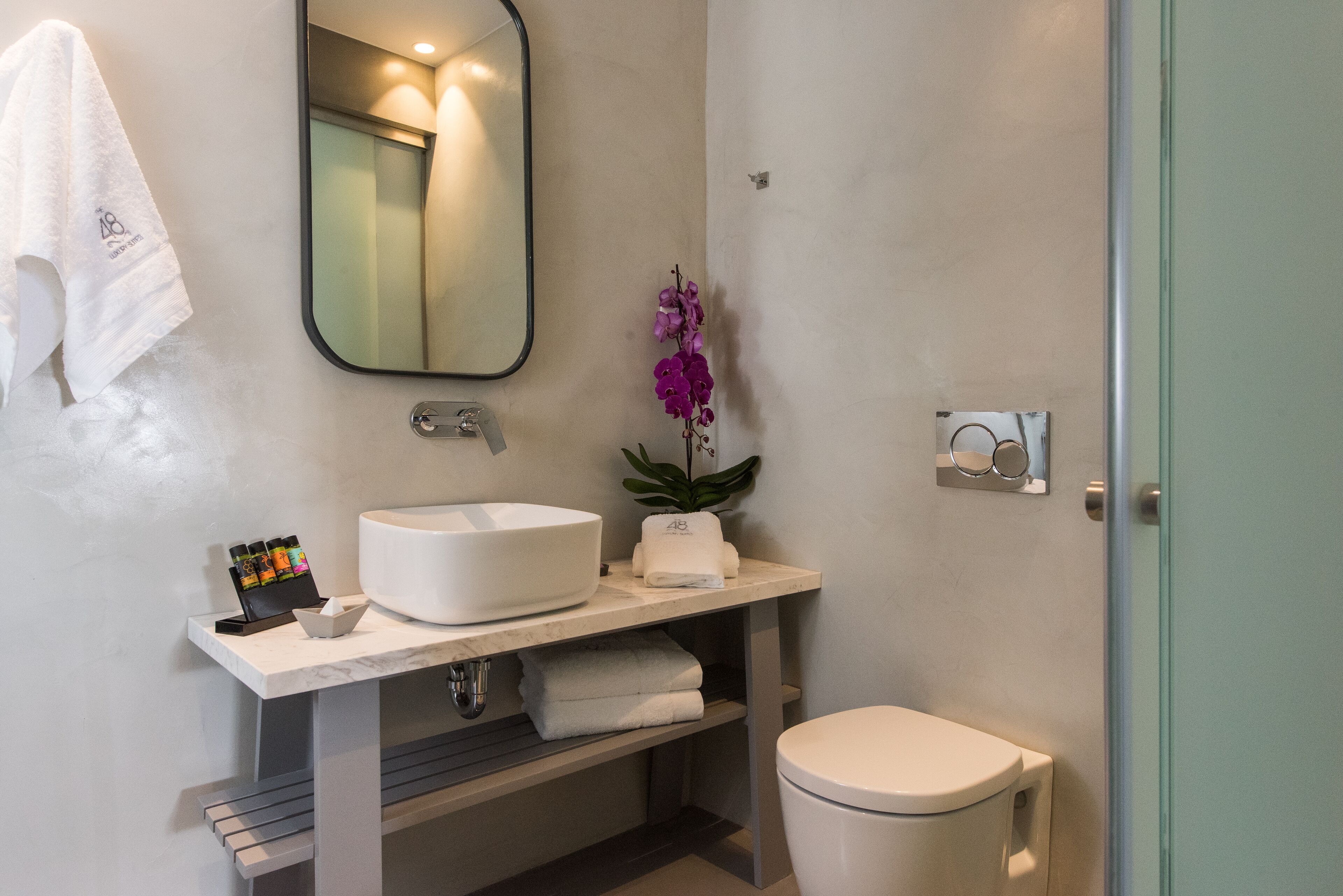 Suite Deluxe | Baño | Ducha, artículos de higiene personal gratuitos y toallas
