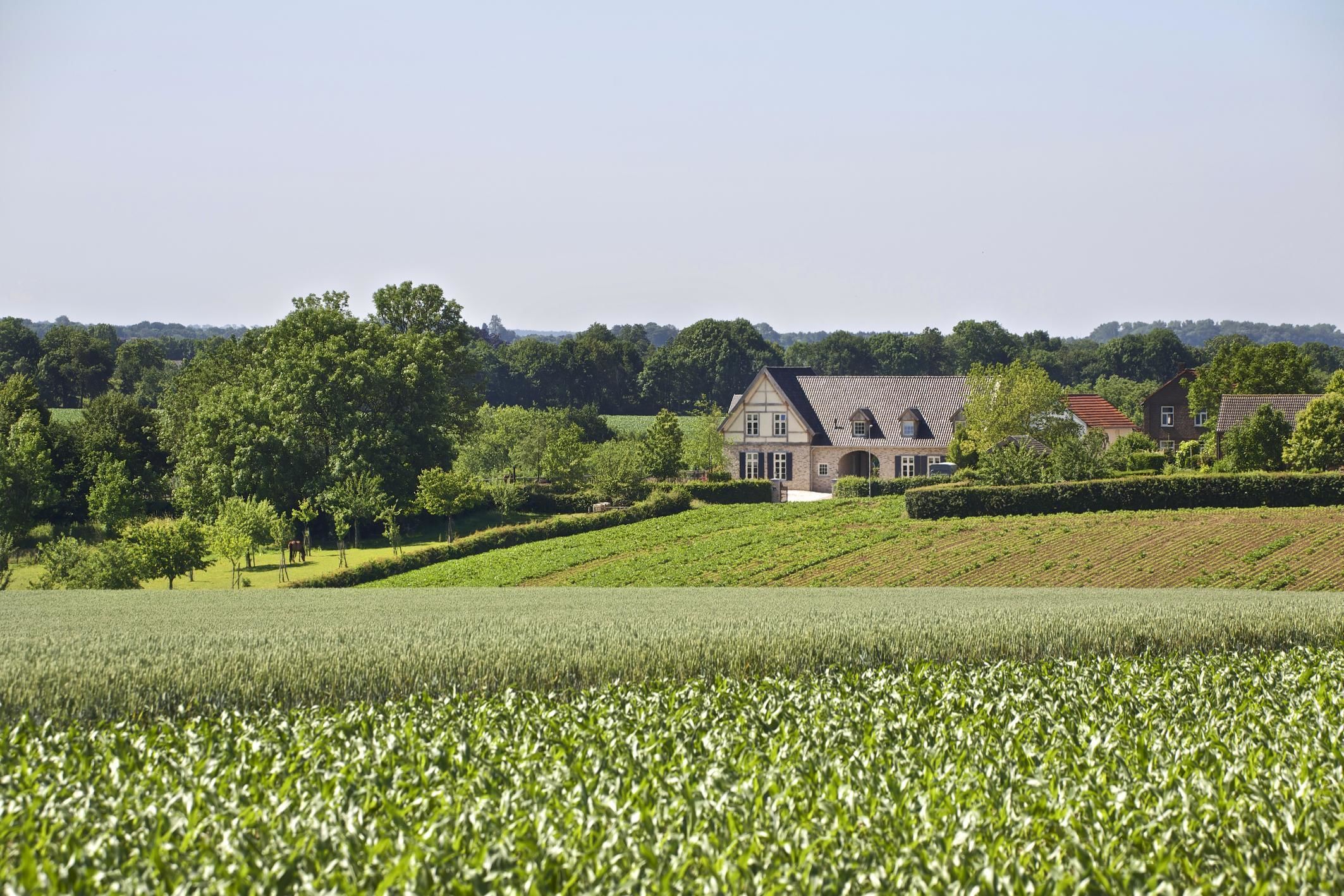 Une grande maison avec un toit en pente, entourée de vastes champs verdoyants et d’arbres.