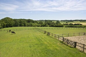A fenced pasture with horses grazing, surrounded by lush greenery and trees. - Buitenplaats Welsdael (Margraten)