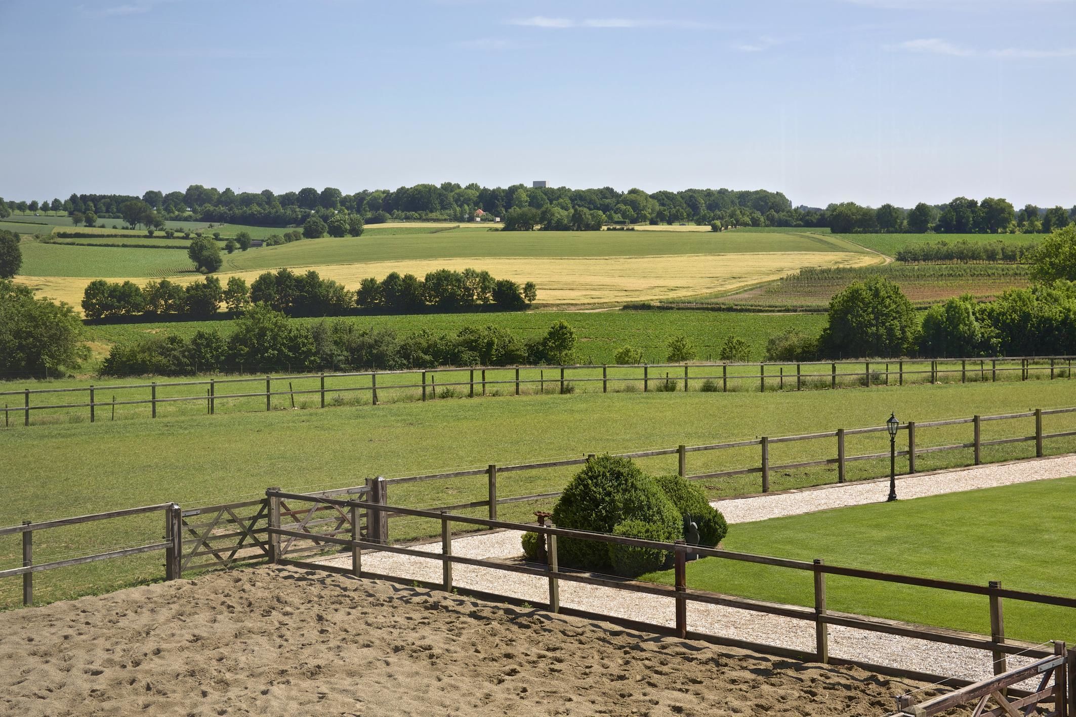 A fenced outdoor area with a gravel path, green fields, and a distant tree line.