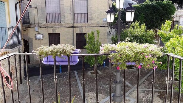 A balcony with potted plants and a view of a building with windows and a door. - Hostal La Solana (Arenas de San Pedro)