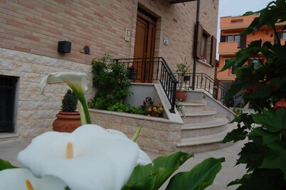 Affittacamere  Alla Tartaruga