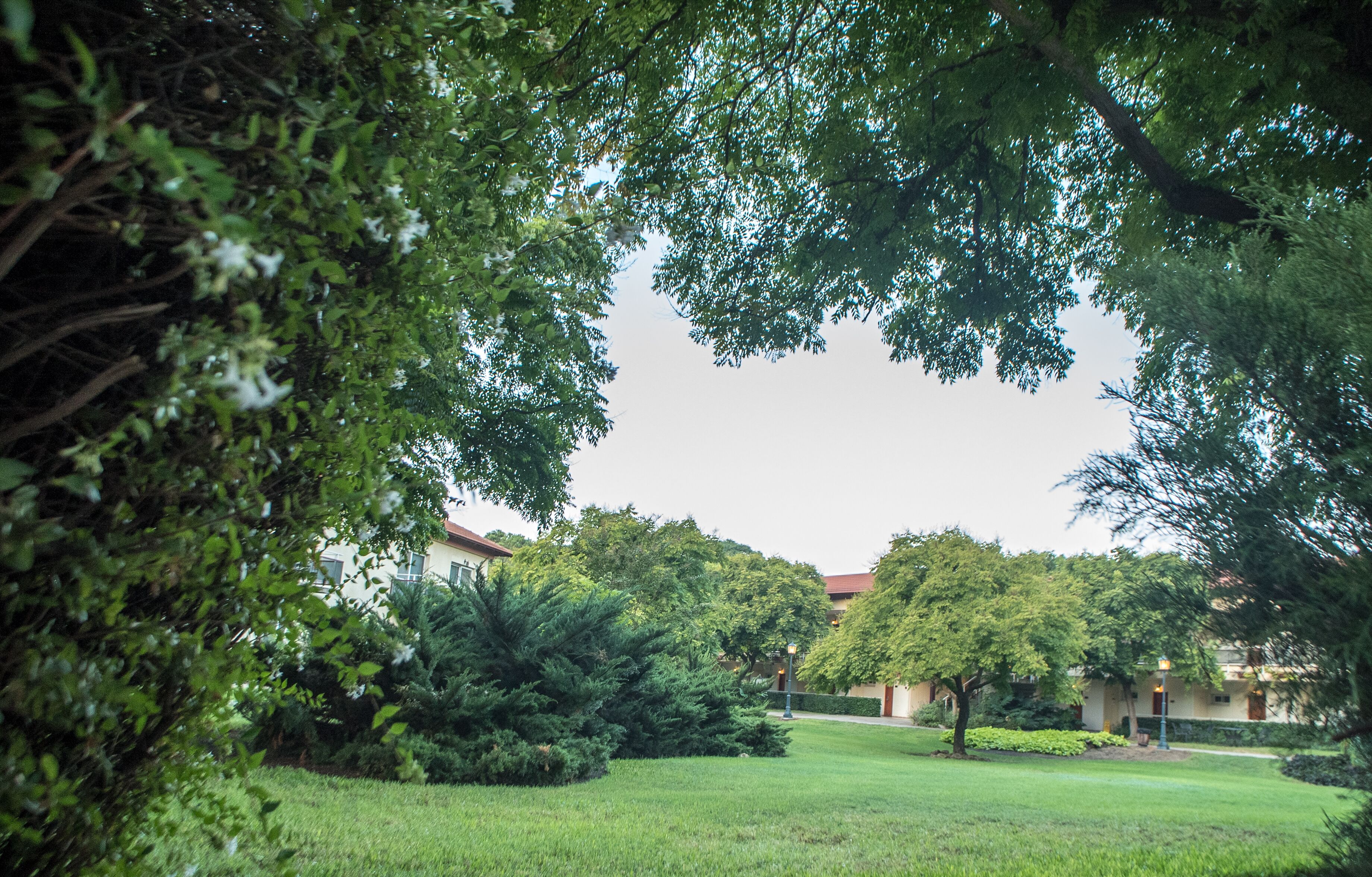 A well-maintained grassy area with mature trees and a building with a red roof in the background.