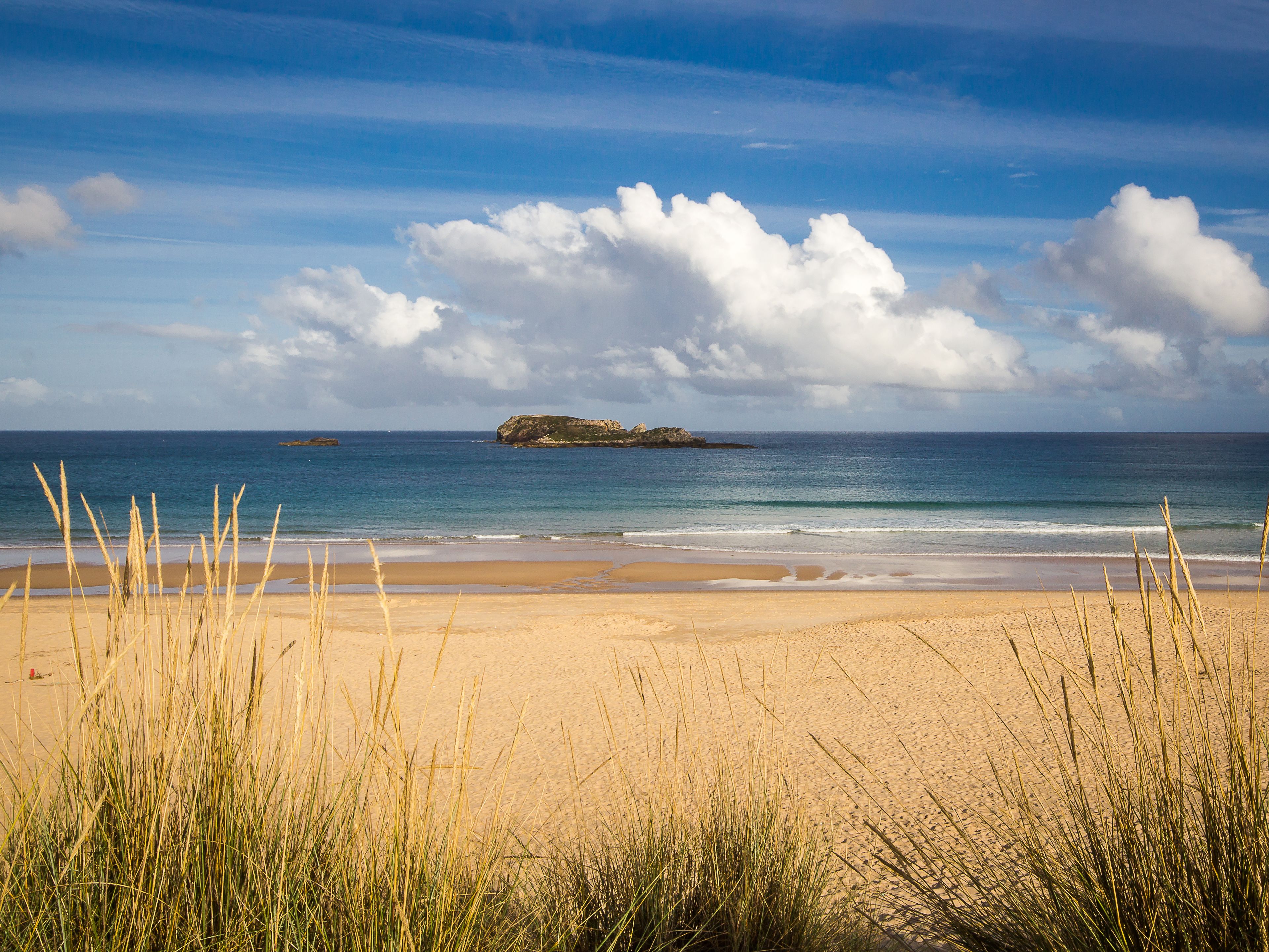 Ein Strand mit Sand, Gras und einer entfernten Insel.