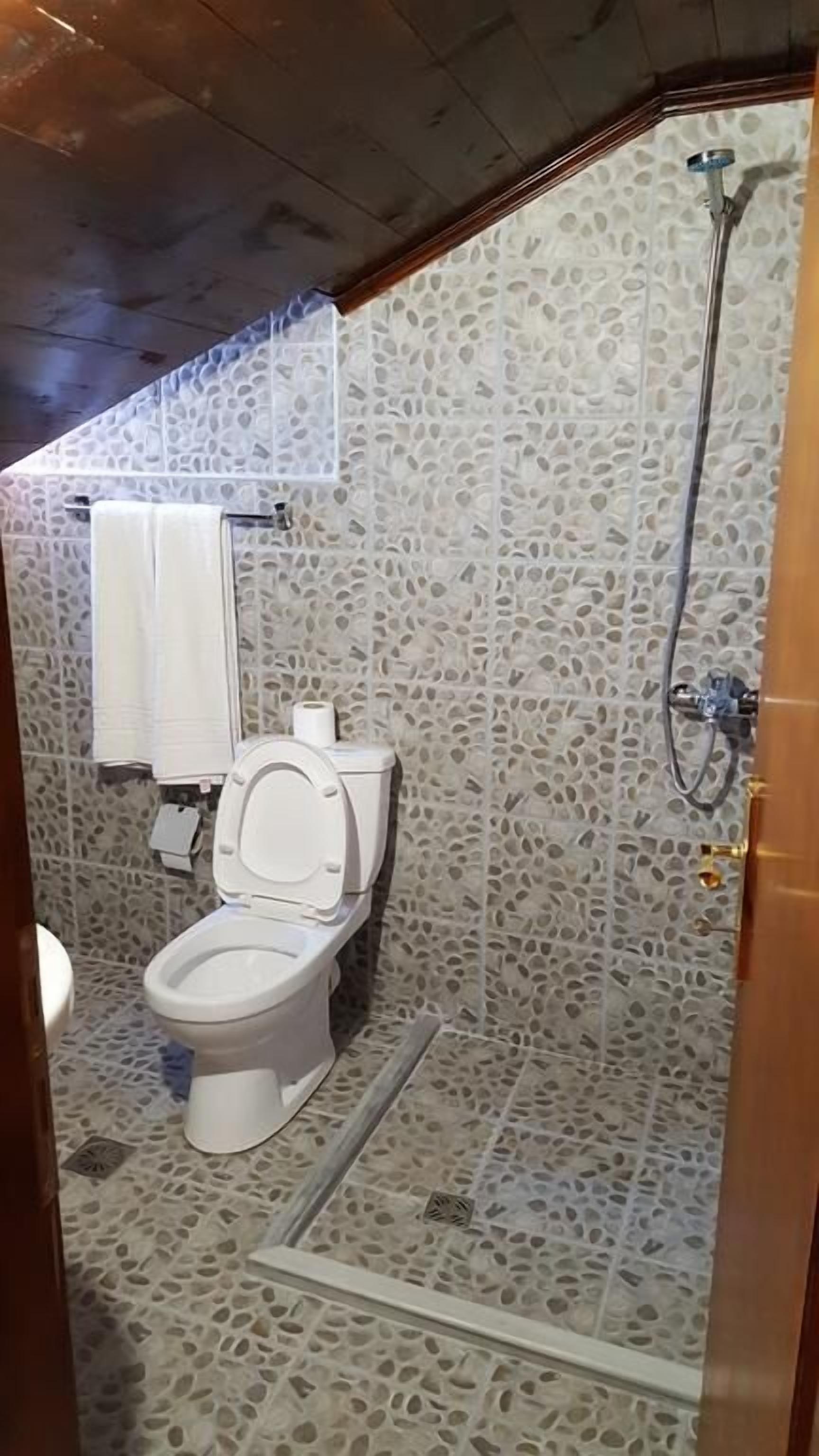 Une salle de bain avec des toilettes, une douche et un mur décoré d’un motif.