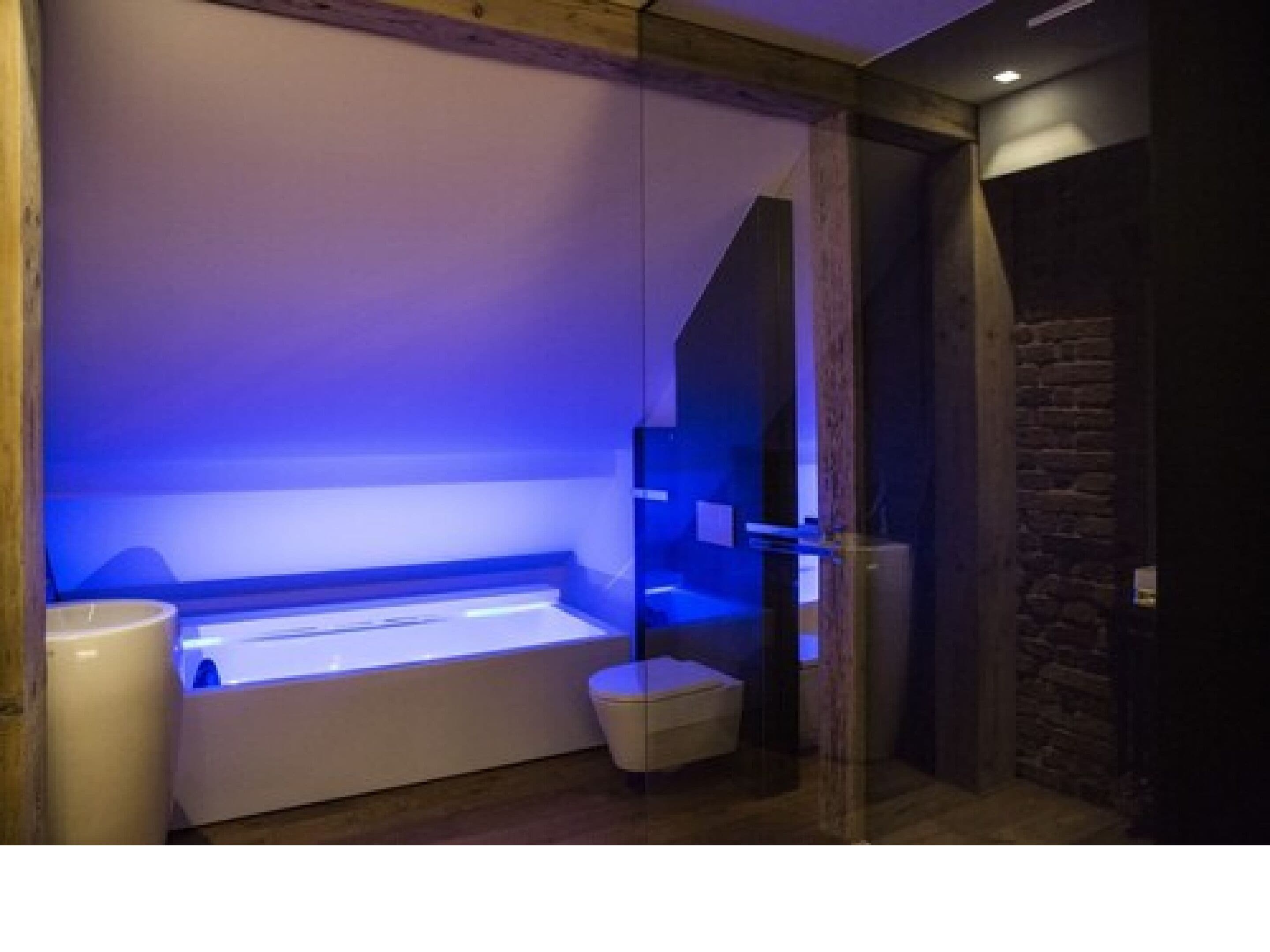 premium double room, 1 queen bed, bathtub | premium bedding, minibar, in-room safe, soundproofing