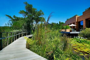 Property grounds - Stone Manor (Knysna)