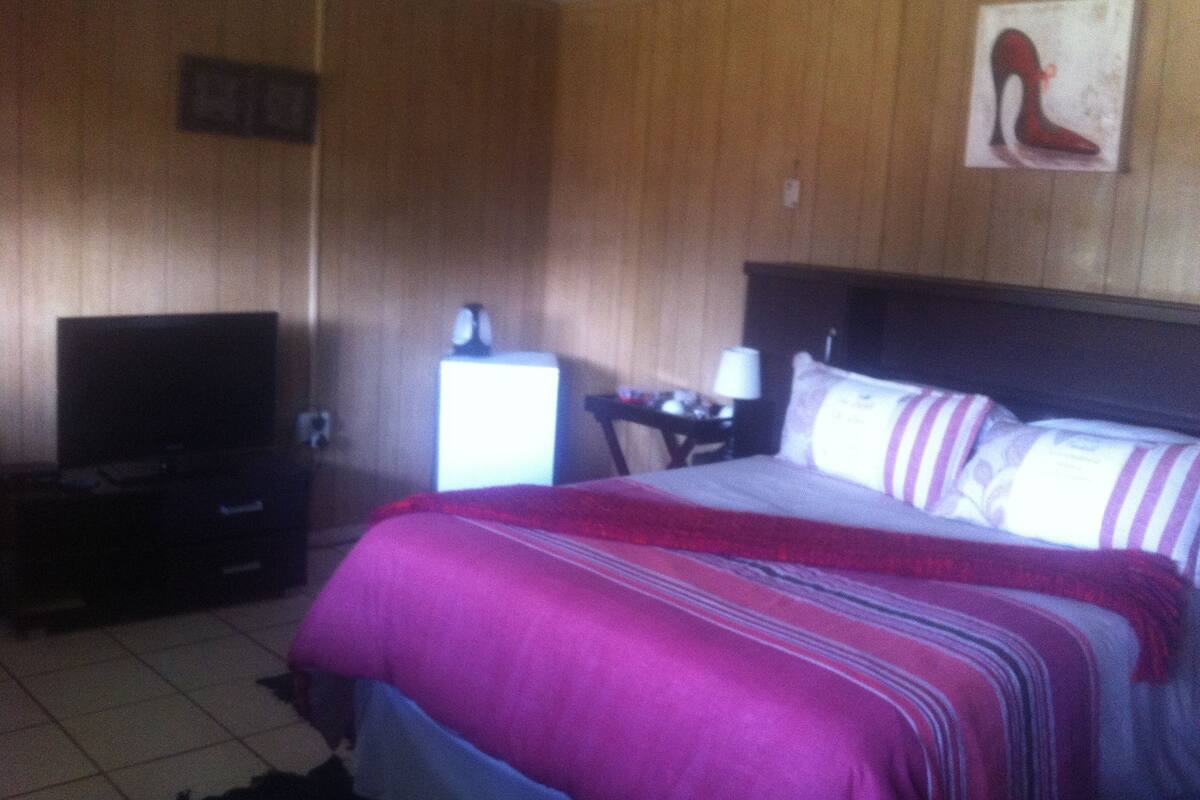 Une chambre d’hôtel équipée d’un lit, d’une télévision, d’un bureau et d’une table de chevet.