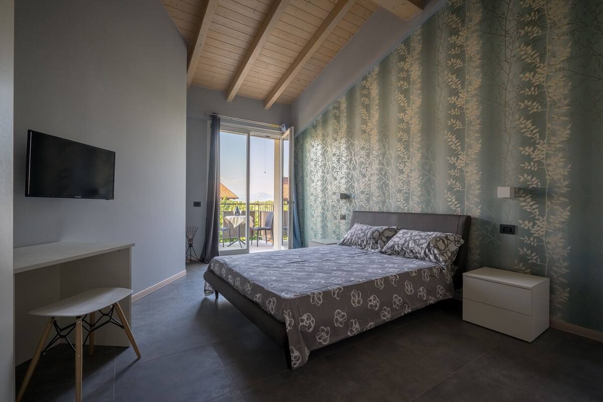 Une chambre avec un lit, une télévision, un bureau et une vue sur l’extérieur.