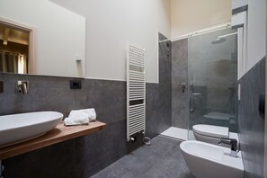 Shower, hair dryer, bidet, towels