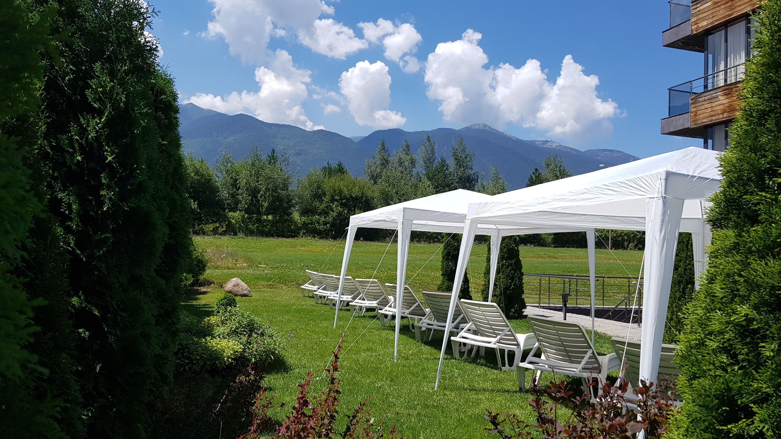 A white tent with lounge chairs set up in a grassy area, surrounded by trees and mountains in the background.