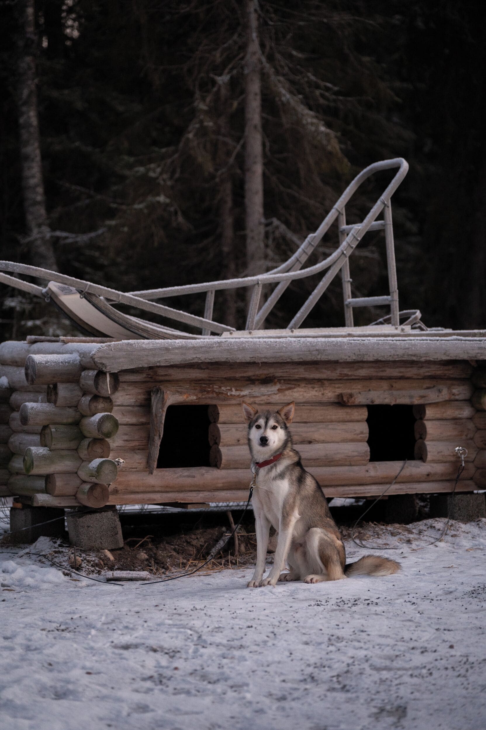 Photo - Nova Skyland Hotel