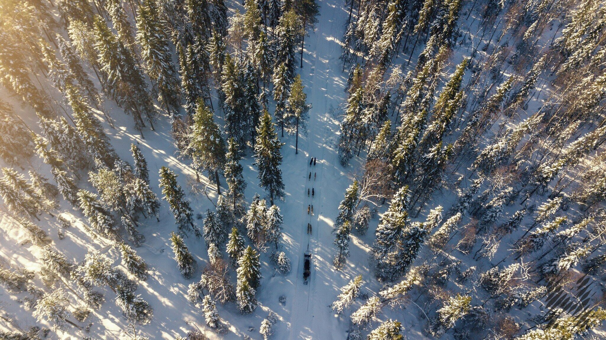 An aerial view of a snow-covered forest with a group of people and a sled.