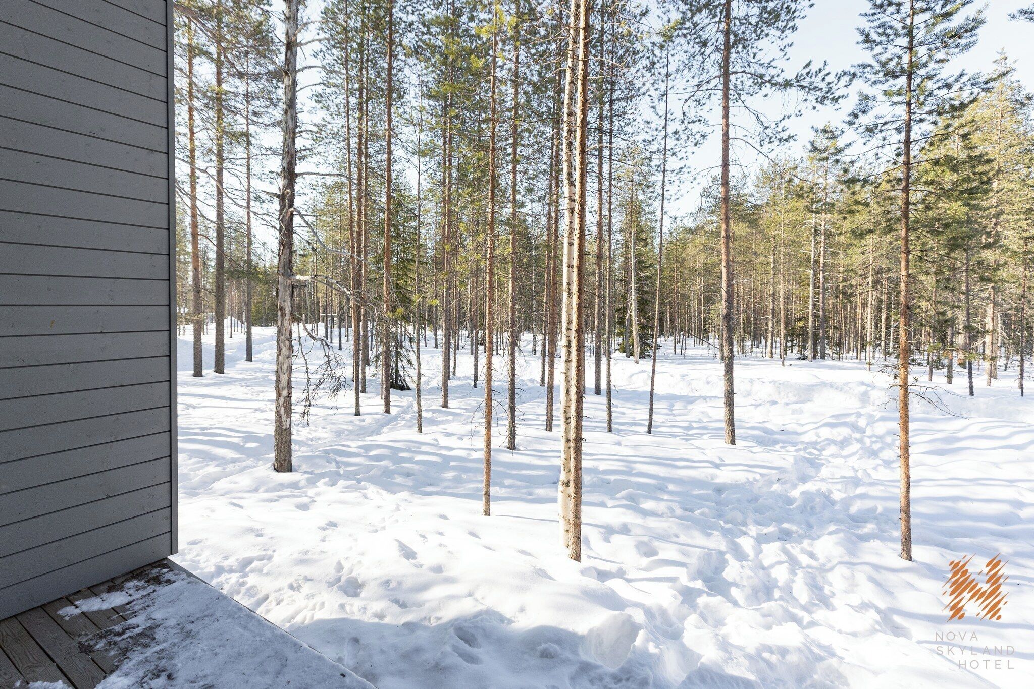 En sneklædt skov med en træbygning.