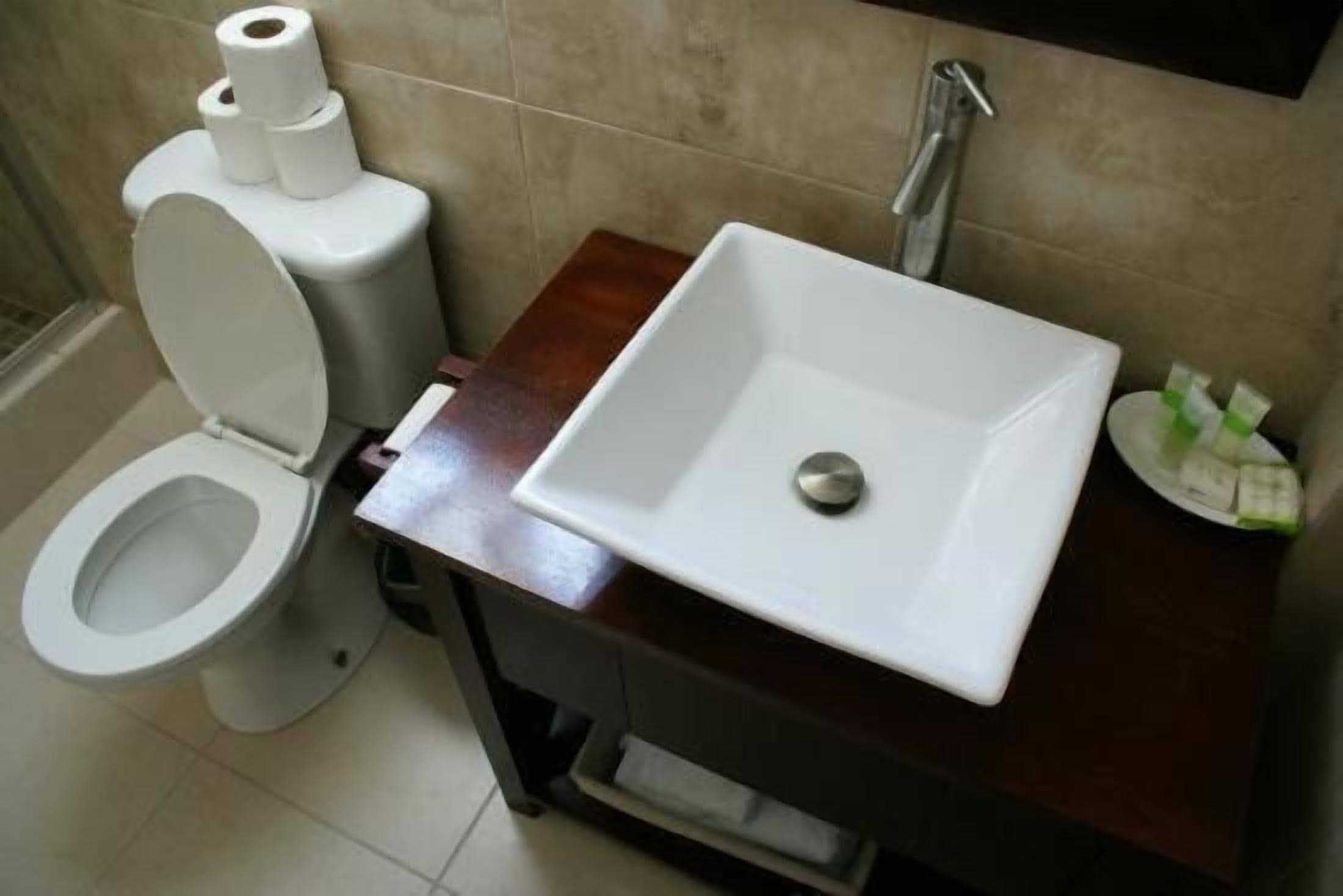 Un baño con inodoro, lavamanos y ducha.