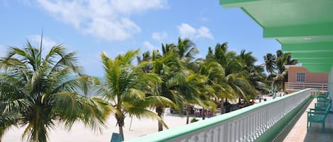 Ein Balkon mit Blick auf einen Strand, Palmen und ein Gebäude im Hintergrund.