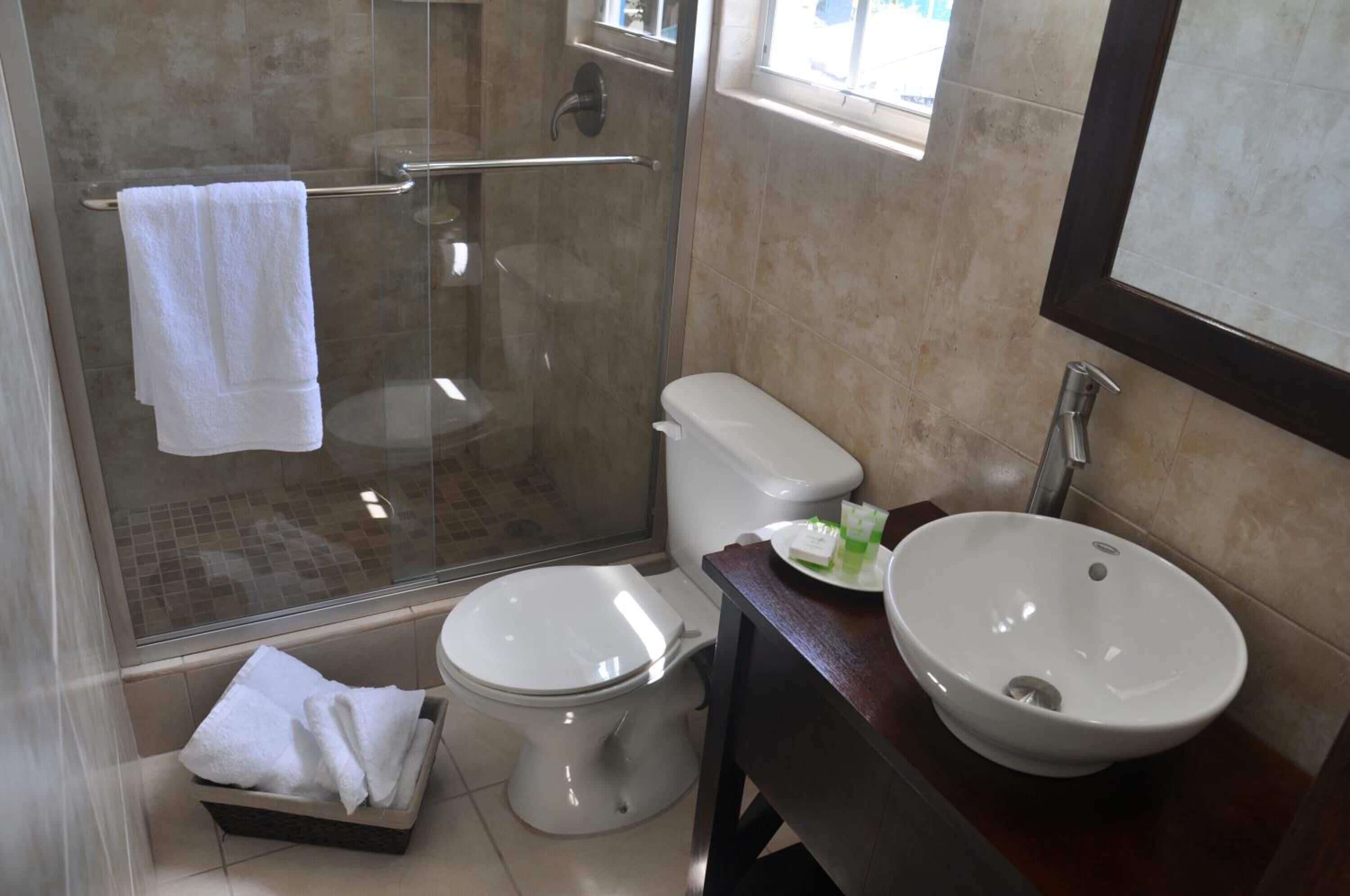 shower, free toiletries, hair dryer, towels