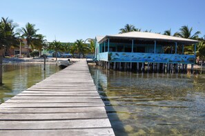 A wooden pier leading to a blue building with fish murals, surrounded by water and palm trees.