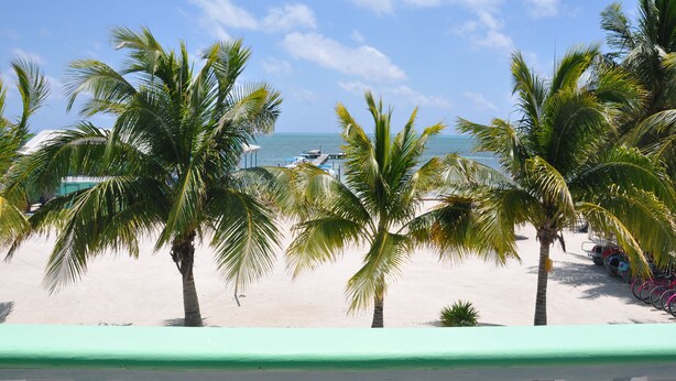 A beach with palm trees and a view of the ocean. - Rainbow Hotel (Caye Caulker)