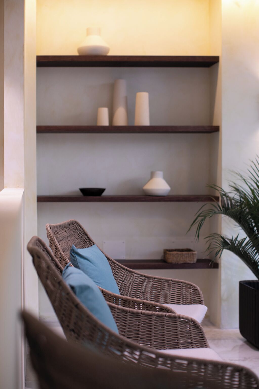 Wicker chairs with cushions, a shelf with decorative items, and a potted plant.