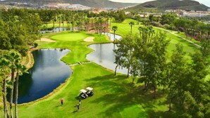 A golf course with a pond, palm trees, and a mountain in the background. - Apartamentos Playazul (Arona)
