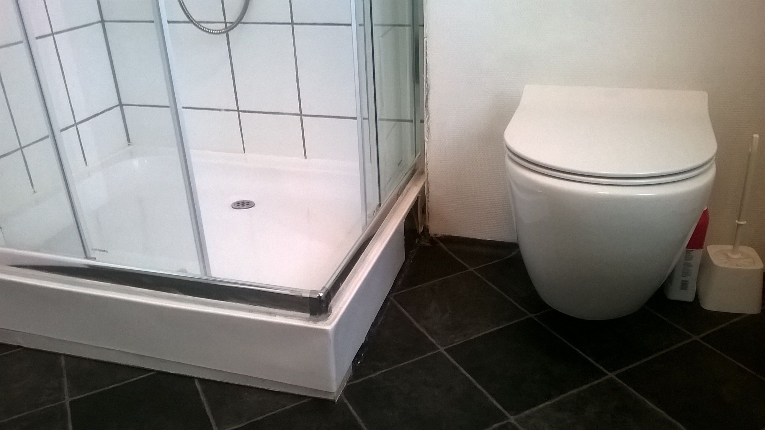 A bathroom with a glass-enclosed shower, a white toilet, and a tiled floor.