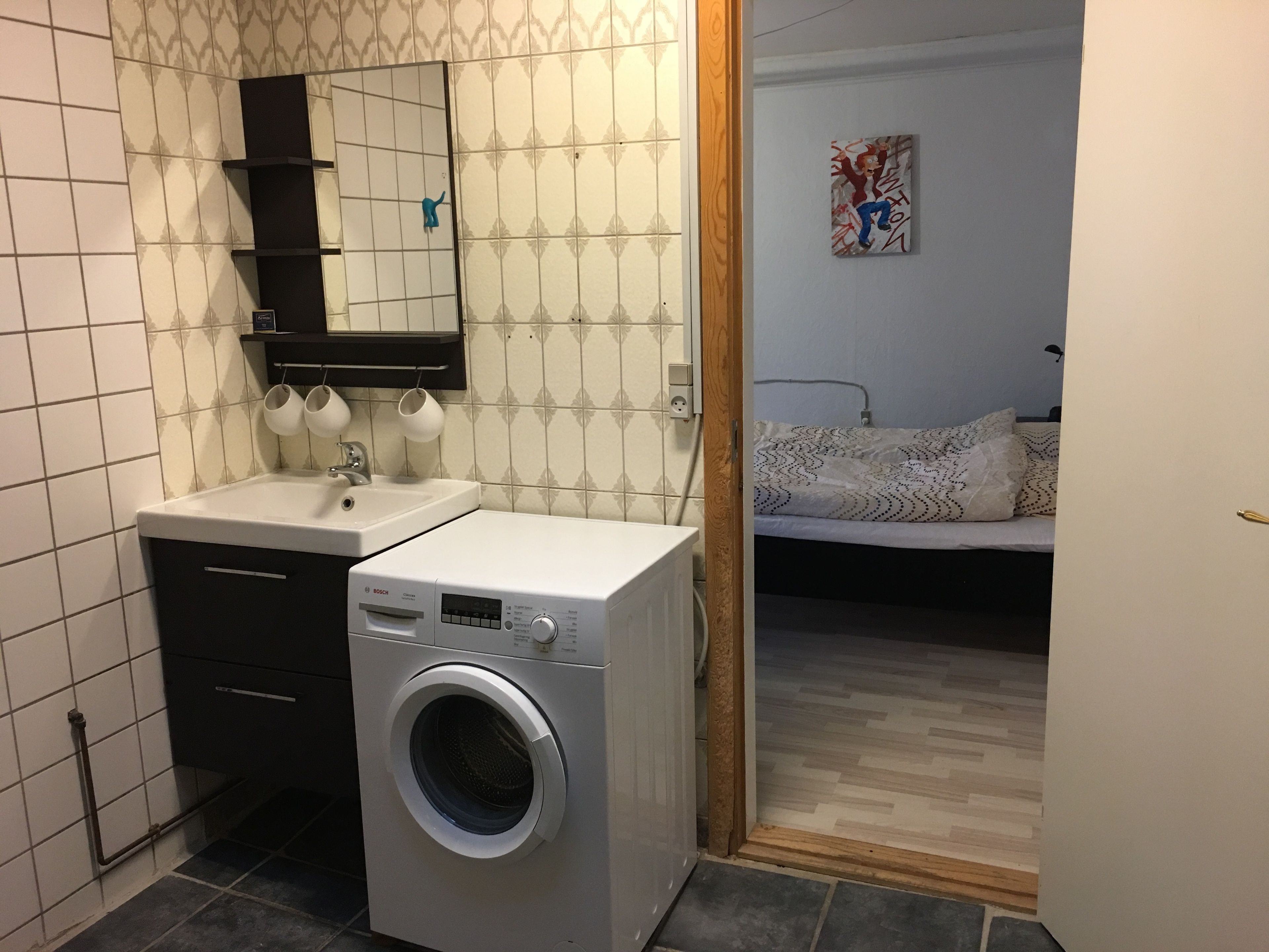 Un bany compacte amb una rentadora Bosch, un lavabo i un mirall.