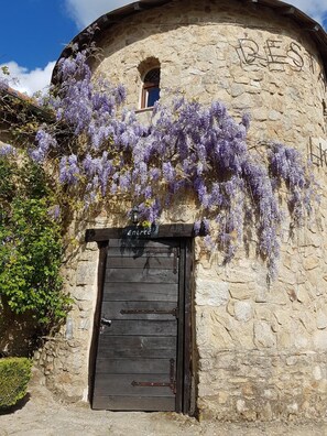 A stone building with a wooden door and purple wisteria vines.